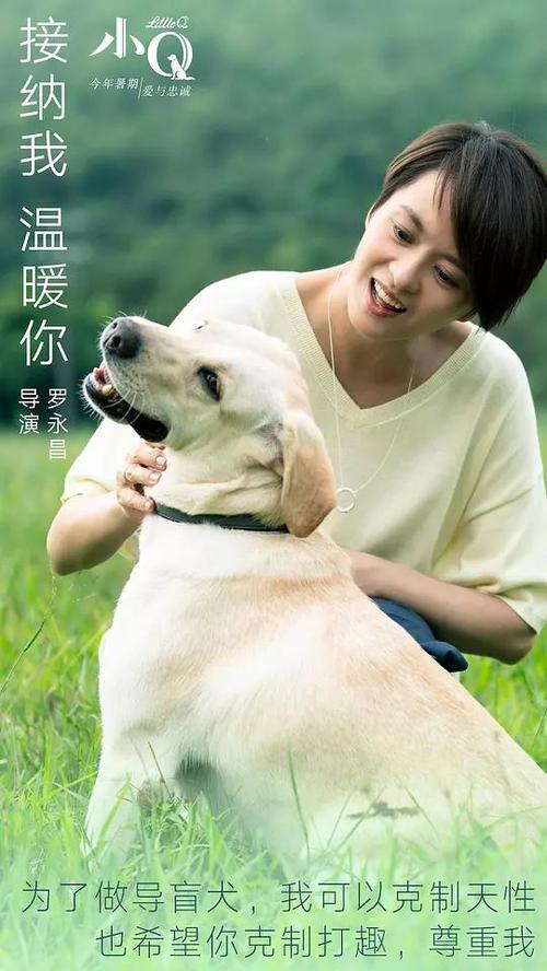 买个假的哈萨克斯坦法案